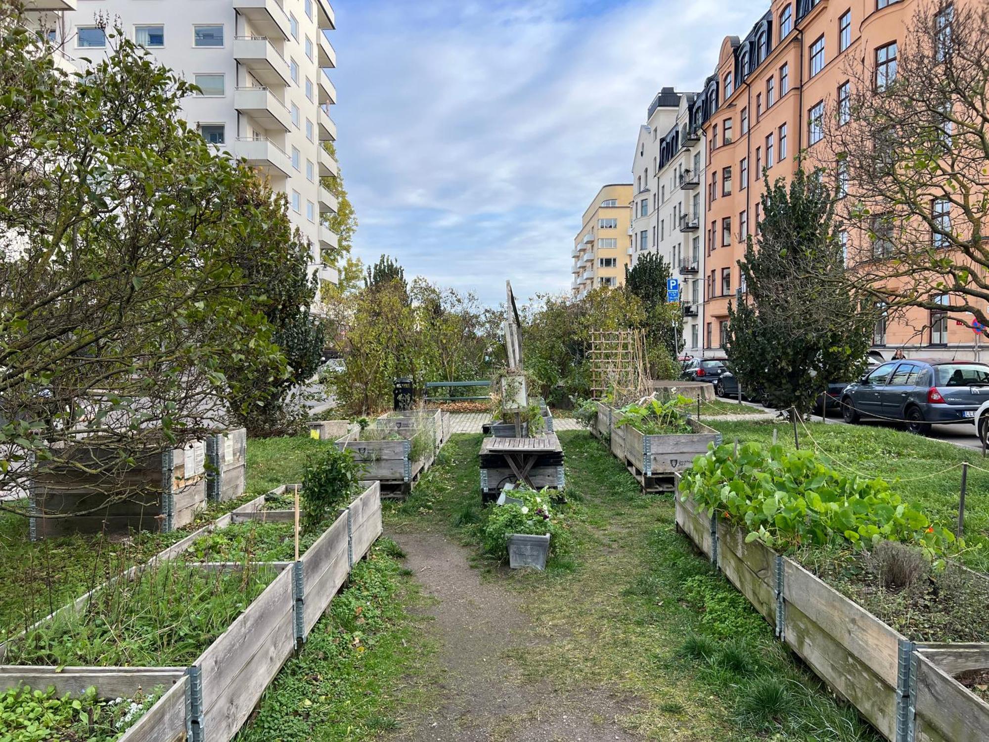 Charming Studio, 10 Min Walk To Train Station